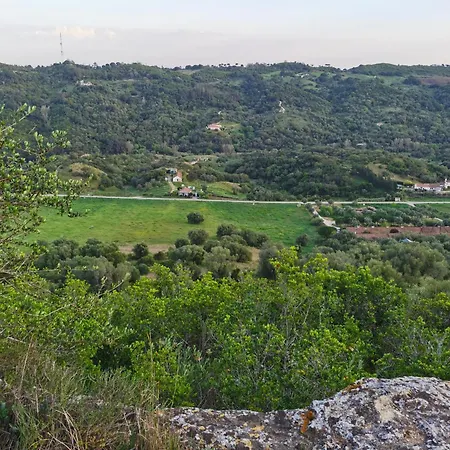 Gasthuis Old Cork Tree Palmela