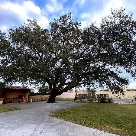 Pensión Old Cork Tree Palmela
